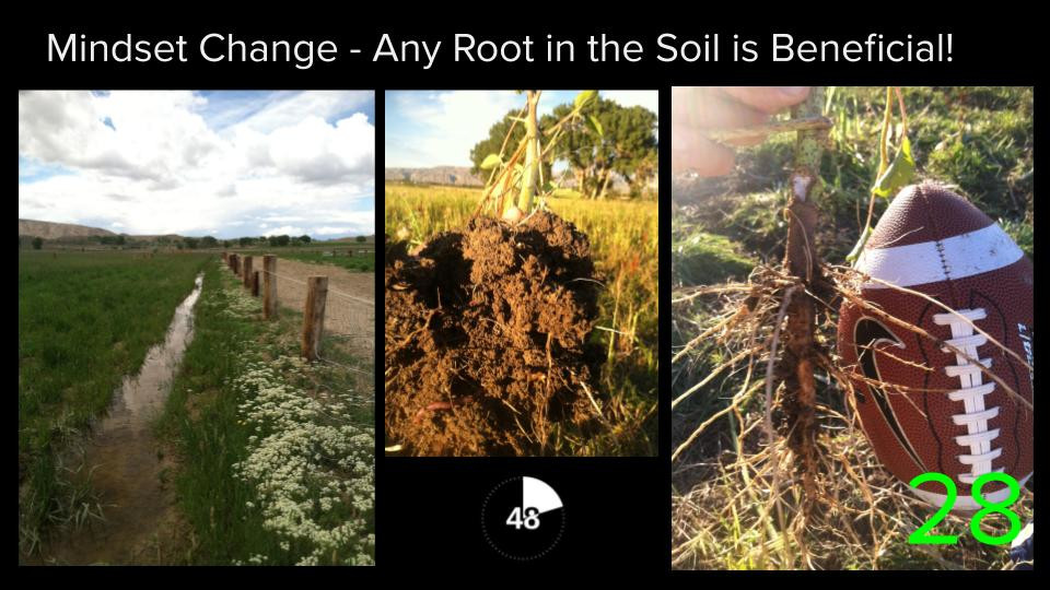 Soil Rev